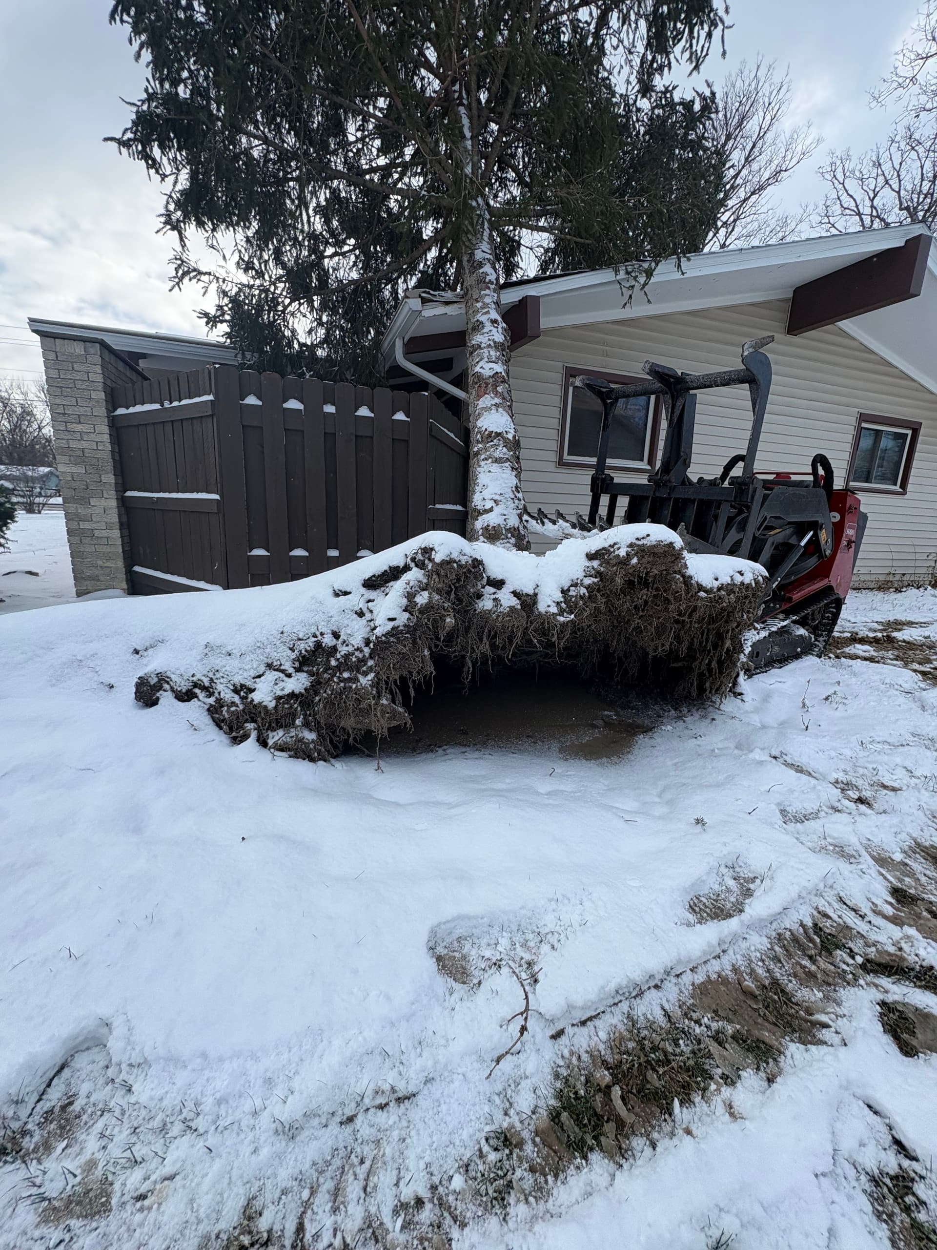 Gallery photos for Swift Response to Tree Damage: Image #2